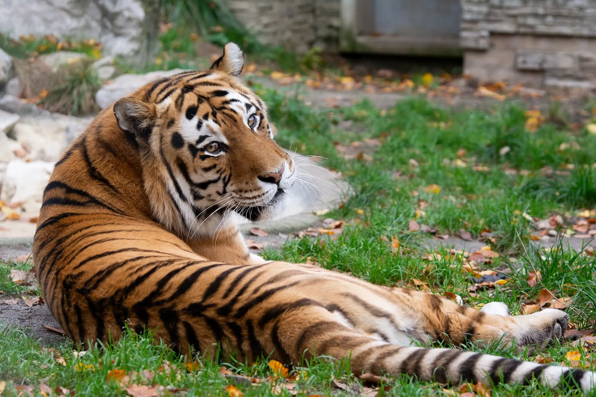 Ogród Zoologiczny w Krakowie